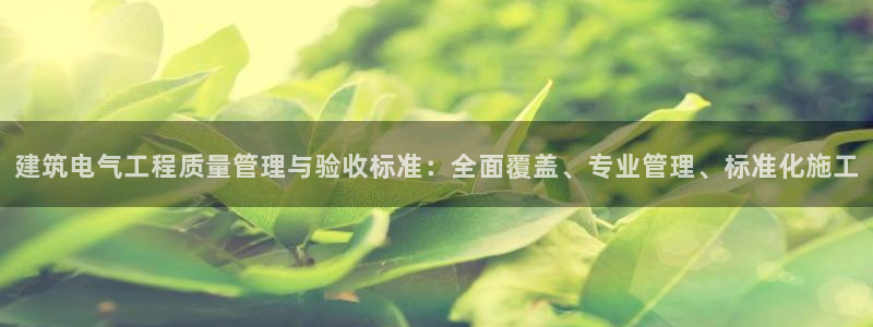 新航娱乐公司艺人：建筑电气工程质量管理与验收标准：全面覆盖、专业管理、标准化施工