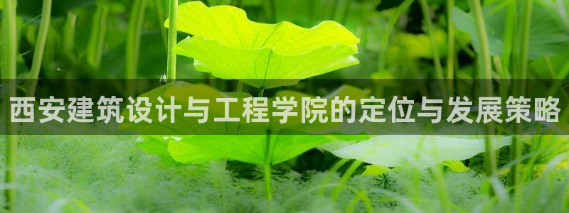 新航文化娱乐传媒怎么样：西安建筑设计与工程学院的定位与发展策略