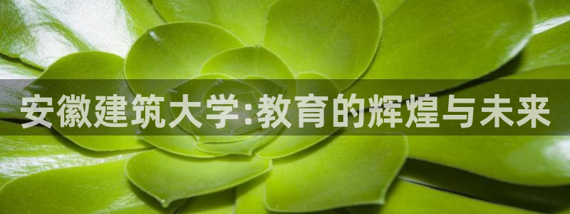 新航海娱乐会所电话地址：安徽建筑大学:教育的辉煌与未来