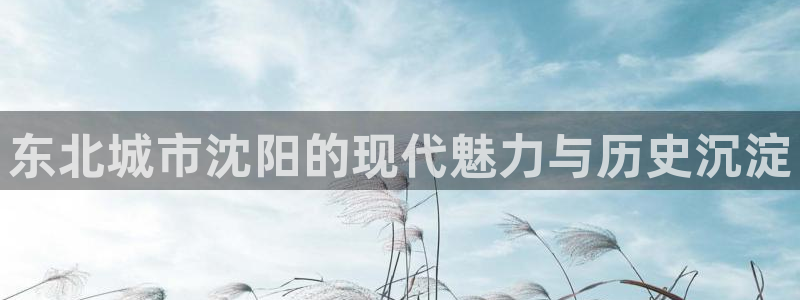 新航娱乐app下载安卓：东北城市沈阳的现代魅力与历史沉淀