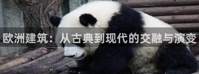 新航娱乐公司问题分析：欧洲建筑：从古典到现代的交融与演变