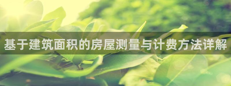 新航 娱乐系统：基于建筑面积的房屋测量与计费方法详解