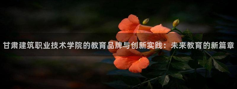 新航海娱乐会所地址：甘肃建筑职业技术学院的教育品牌与创新实践：未来教育的新篇章