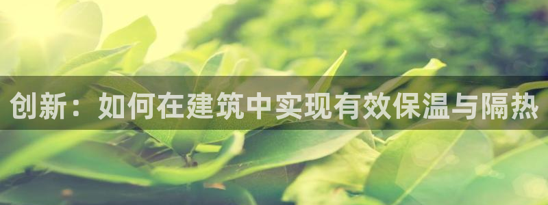 新航娱乐观