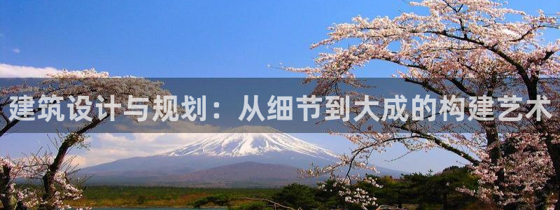 新航娱乐的创始人背景：建筑设计与规划：从细节到大成的构建艺术