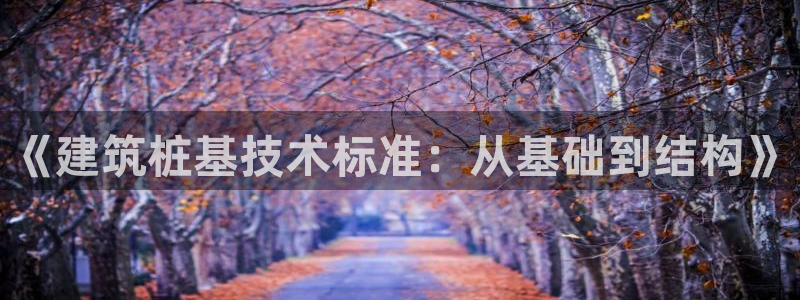 新航娱乐公司旗下艺人：《建筑桩基技术标准：从基础到结构》