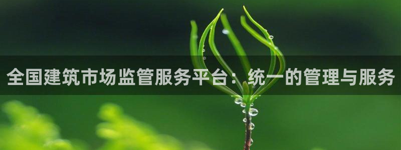 新航娱乐公司怎么样啊